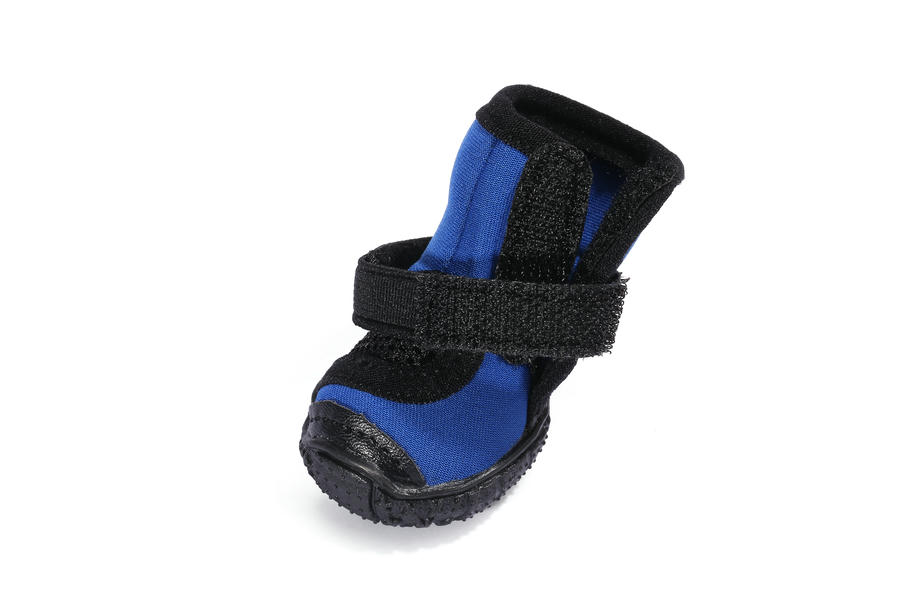 dog shoes for walking