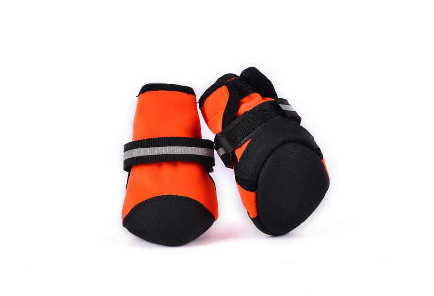 paw winter protection