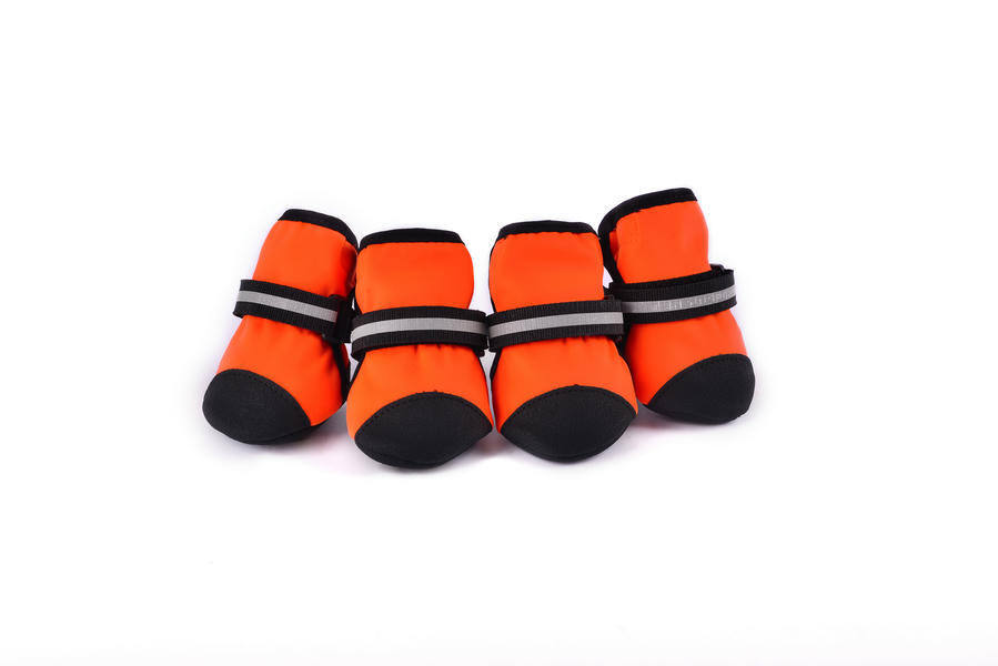 dog shoes for winter large dogs