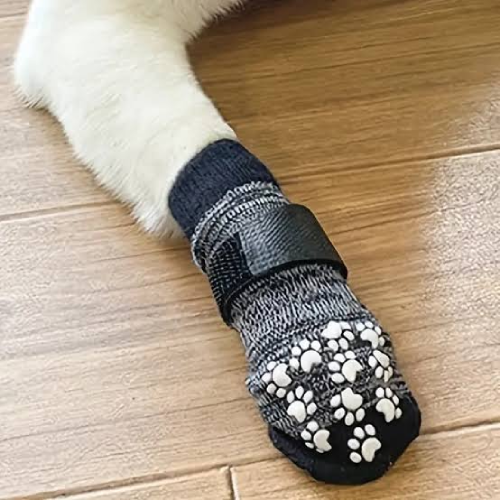 dog socks for hot pavement