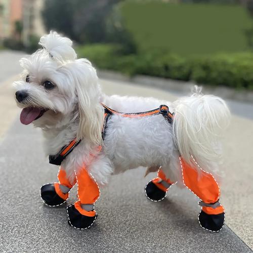 dog suspender boots for winter