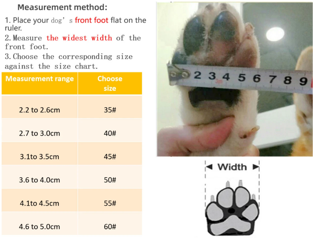 How to Measure Your Dog's Paw