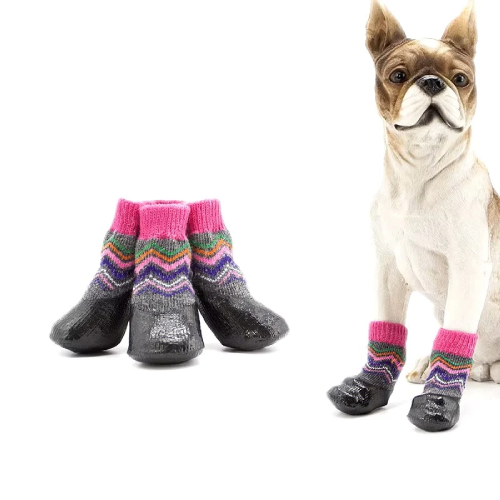 dog socks for summer