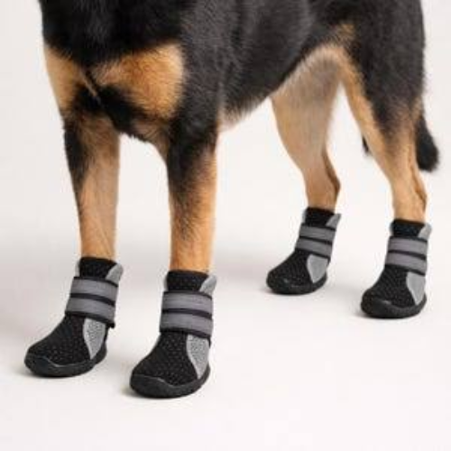 dog footwear manufacturing