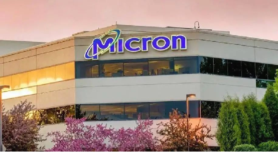 What does micron do?