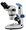 microscope biology microscope stereo microscope