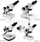microscope 