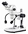 microscope biology microscope stereo microscope