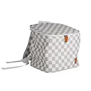 Retro Checkerboard Insulated Lunch Backpack with Adjustable Straps