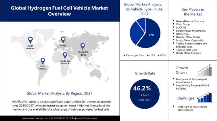Global Hydrogen Fuel Cell Vehicle Market Overview