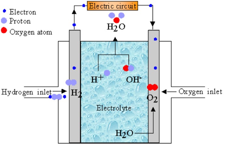 Compare Hydrogen Fuel Cells and Conventional Battery Operated