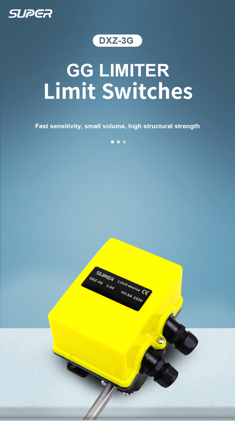 DXZ3G limit switch