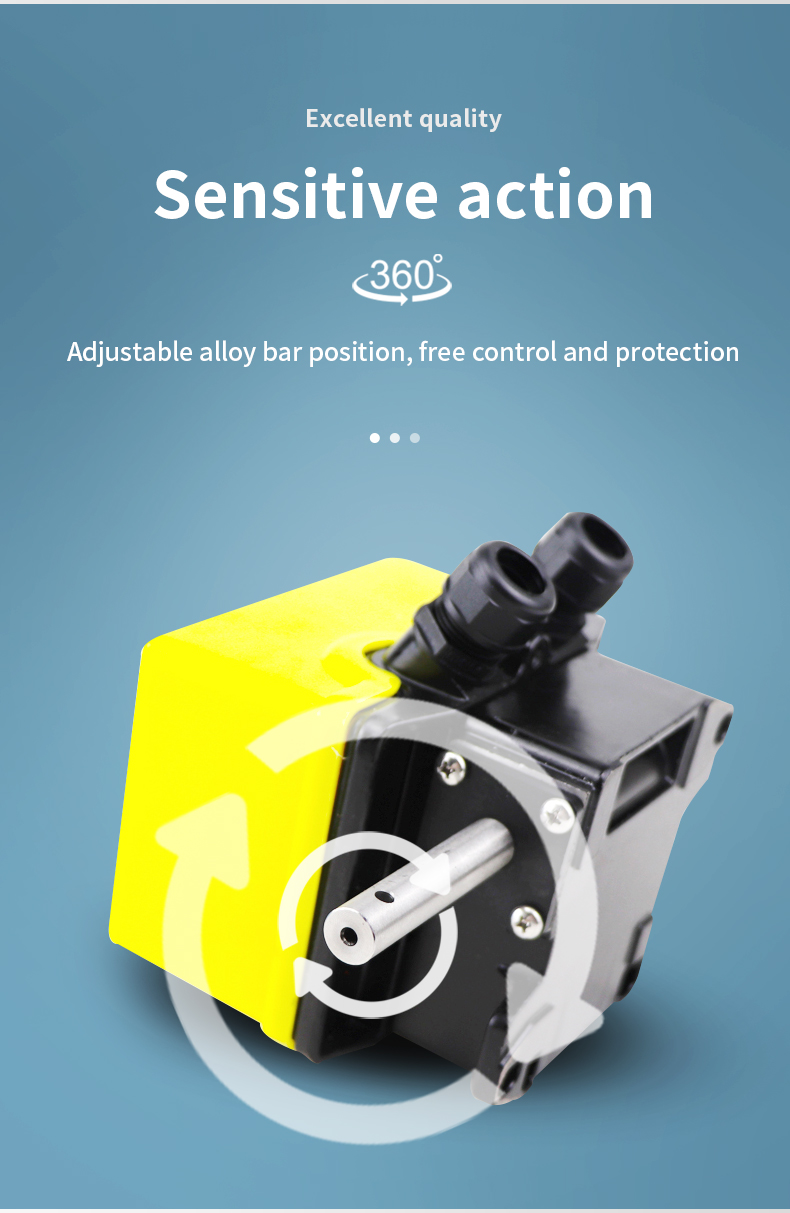 DXZ3G limit switch