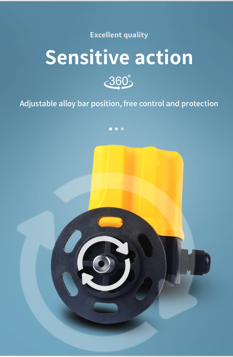 Dxz 6N limit switch