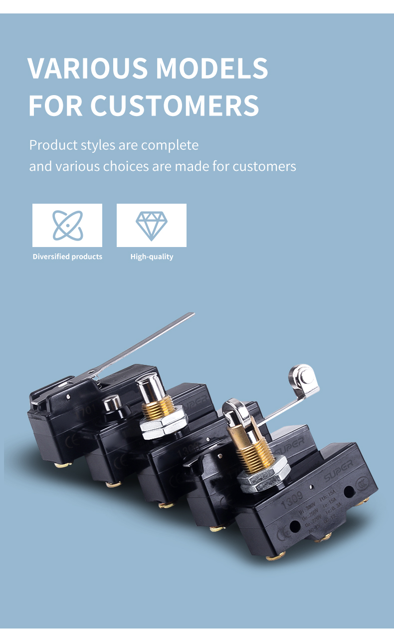 TM-13 micro switch