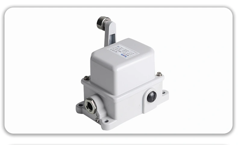 LX33 travel switch