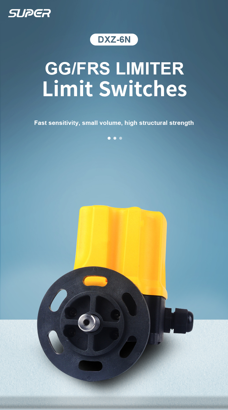 Dxz 6N limit switch