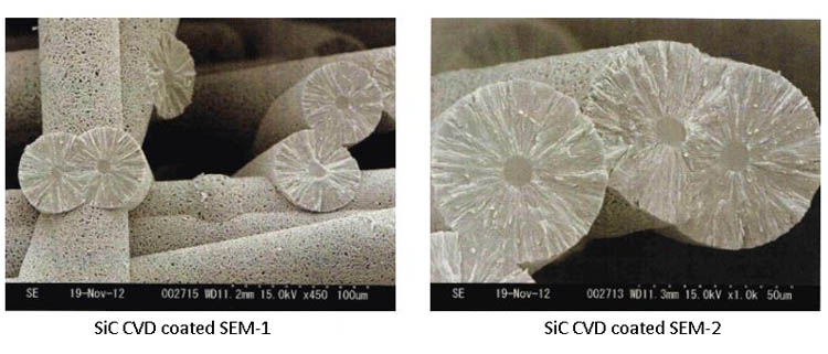 CVD SiC coating layer