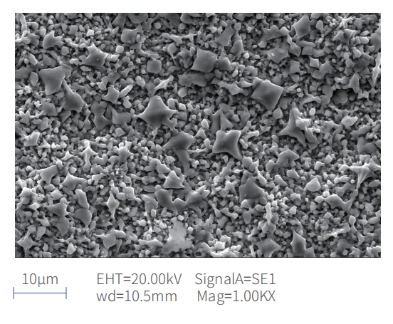 CVD SiC coating layer