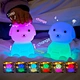Toy Gift Lights
Children'S Gift Light
Color Changing Charging Night Light