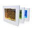 led wall lamps
wall lamps indoor
wall lamps