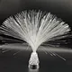J&R Multicolor Fiber Optic Lamp Centerpiece Colorful Glitter Fiberoptic LED Glow Fiber Twinkle Star Optic Night Light