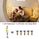 Hot Sale 13.5 Inches Soothing Motion Wax Lava Lamp Custom Design Relaxing Table Night Light Home Bedroom Office
Wholesale Rocket Glass Bottle Lava Lamp Colorful Glitter Round Base Aluminum Body LED Table Light Rainbow Home Decor
2023 Customization Wholesa