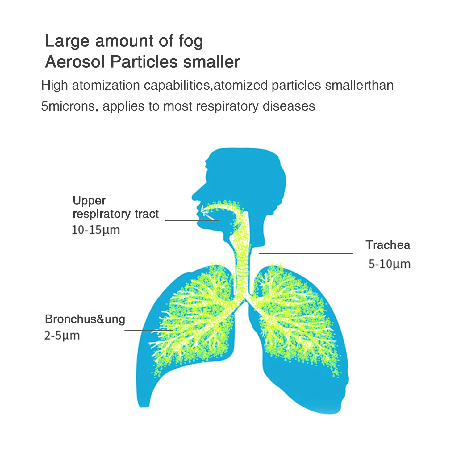 Diseases treated by Nebulizer