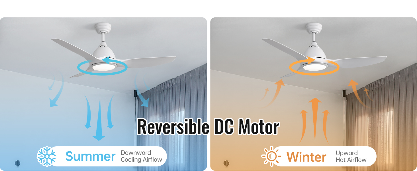 fans on ceiling