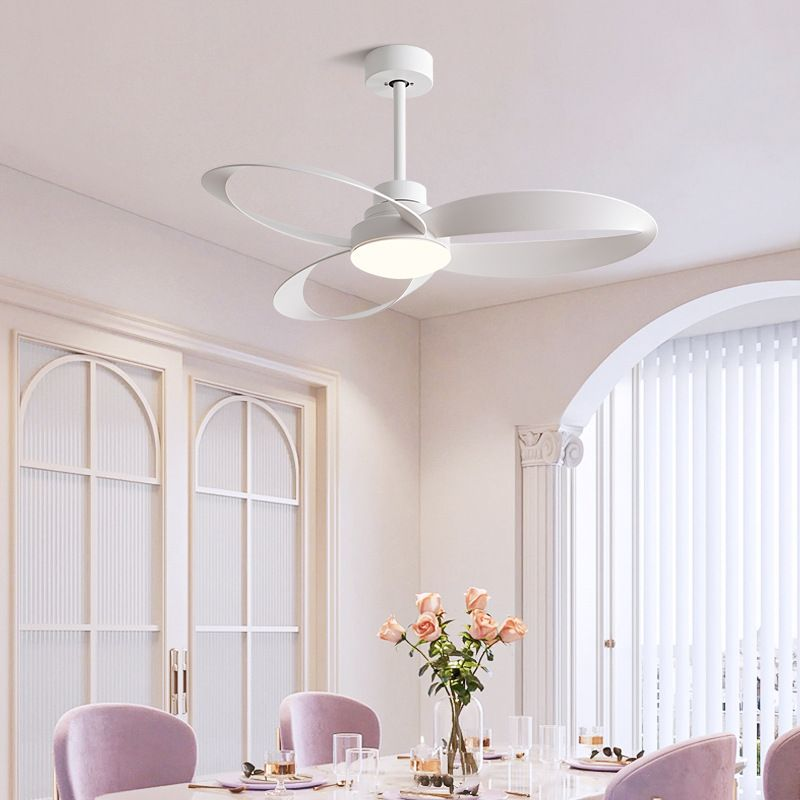 ceciling fans with light