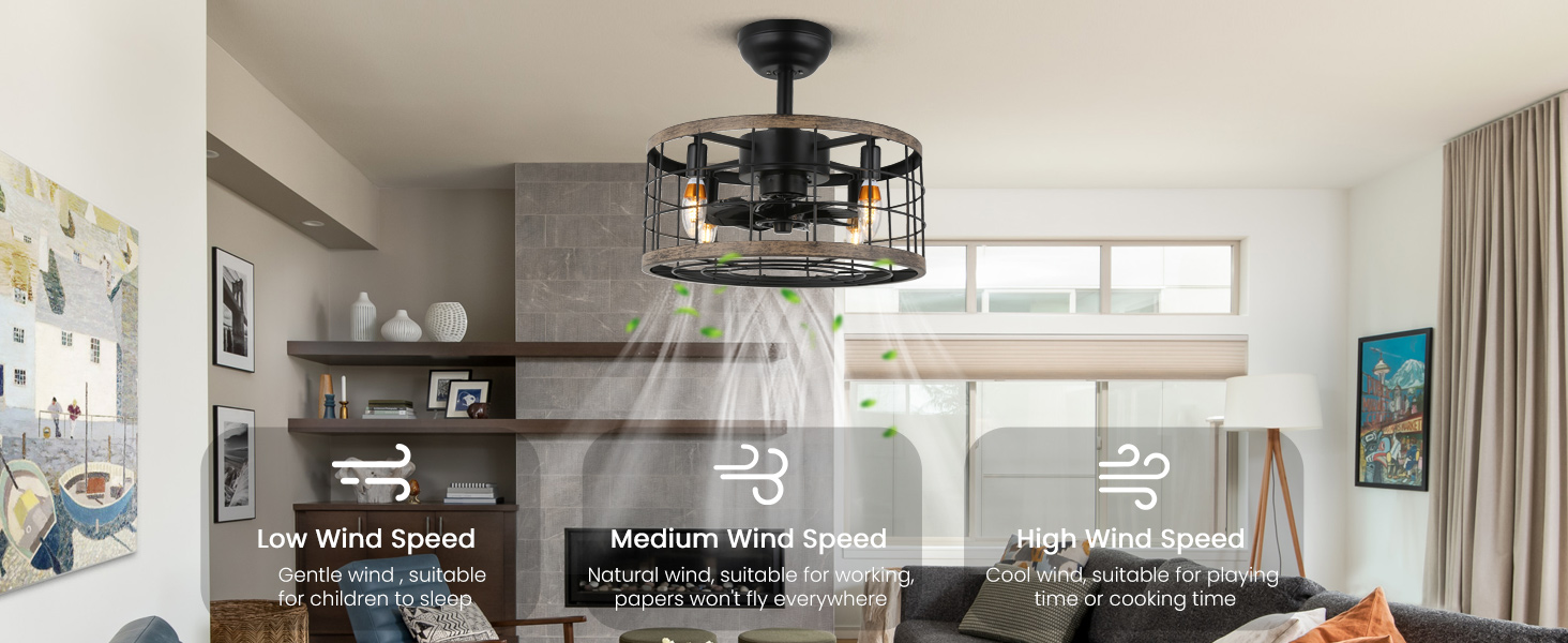 ceiling fan caged