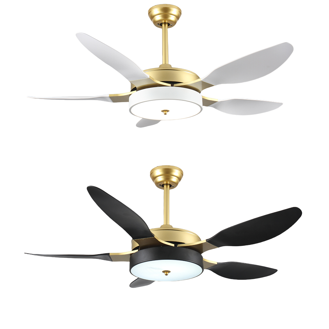 decorative ceiling fans