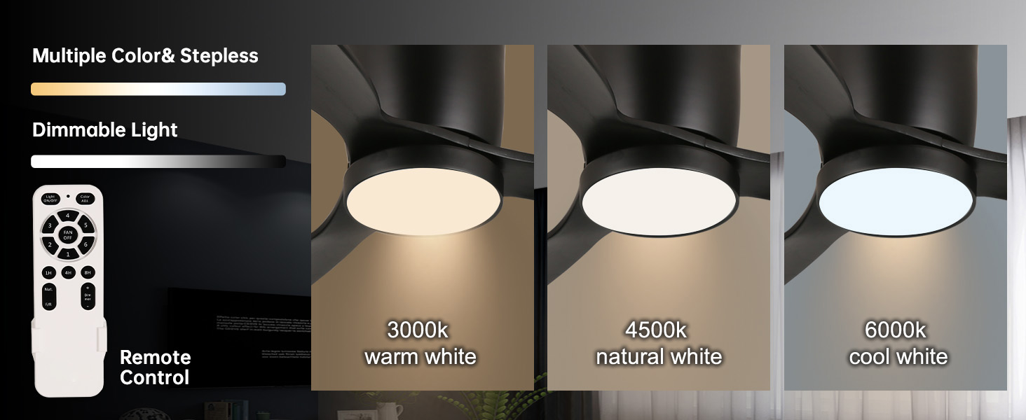 Remote-Control Fan Light