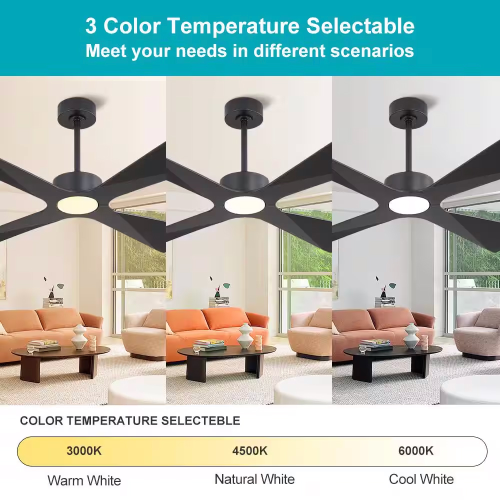 ceiling fans with lights