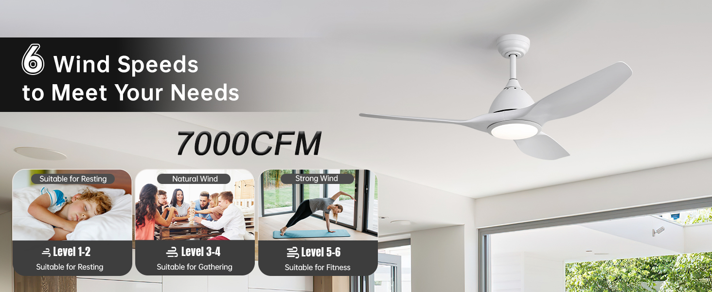 ceiling fans with lights