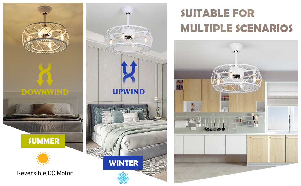 Caged Ceiling Fans