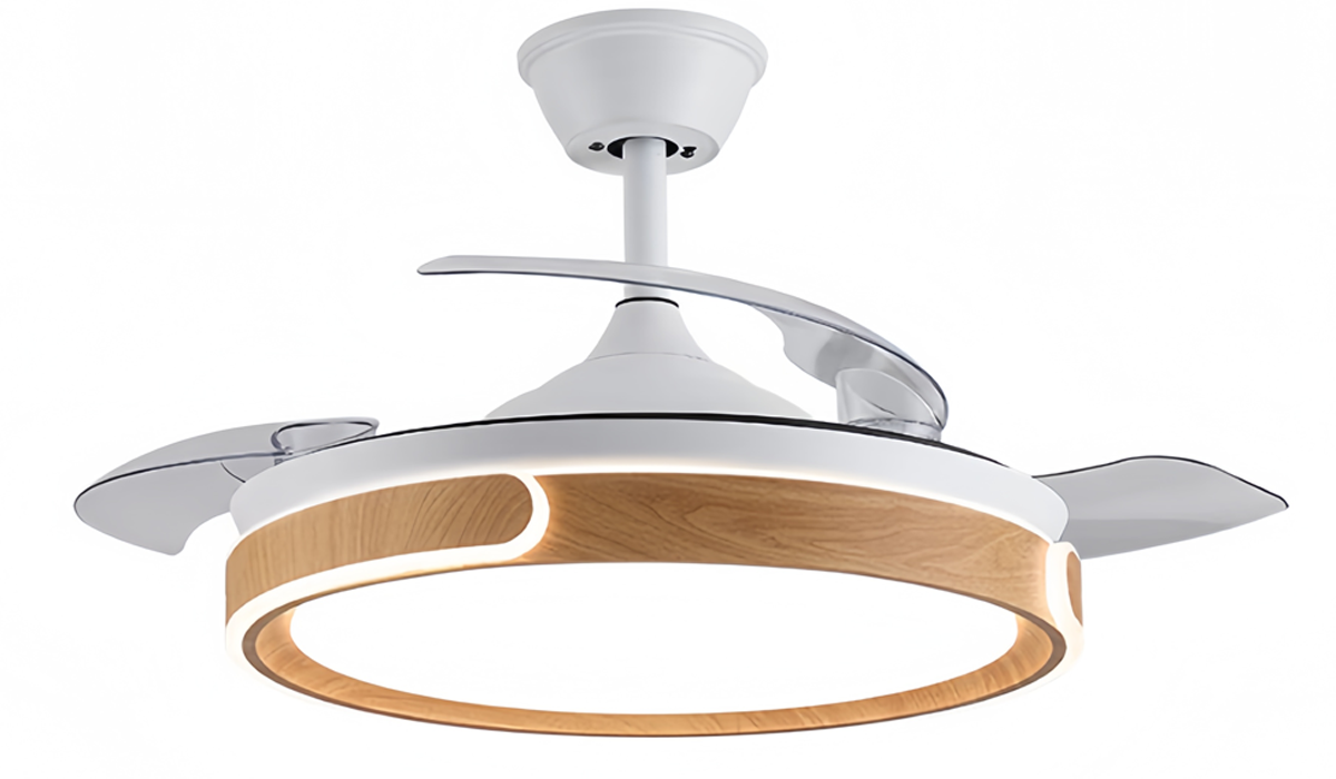 ceiling fan and light