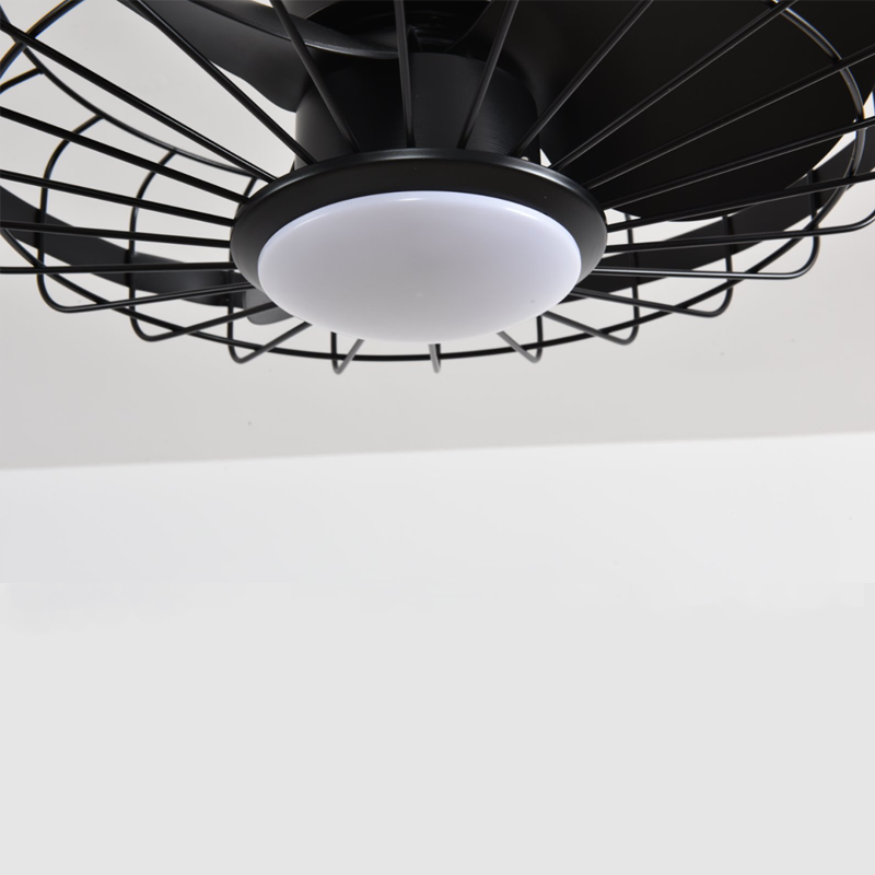 ceiling fan light
