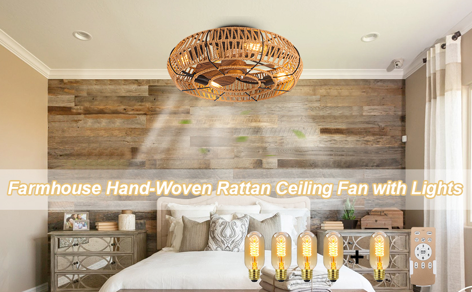 Caged Ceiling Fans-1