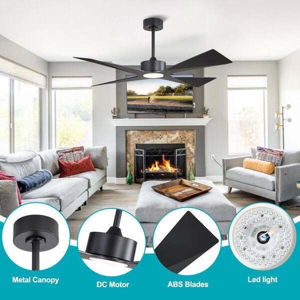 selling fan
