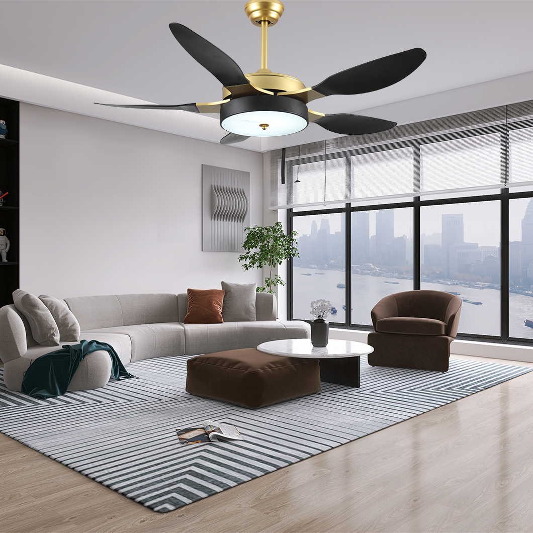 decorative ceiling fans
