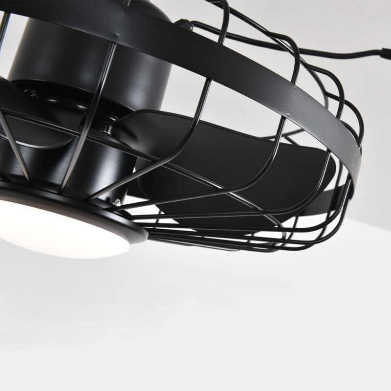 Outdoor ceiling fan light