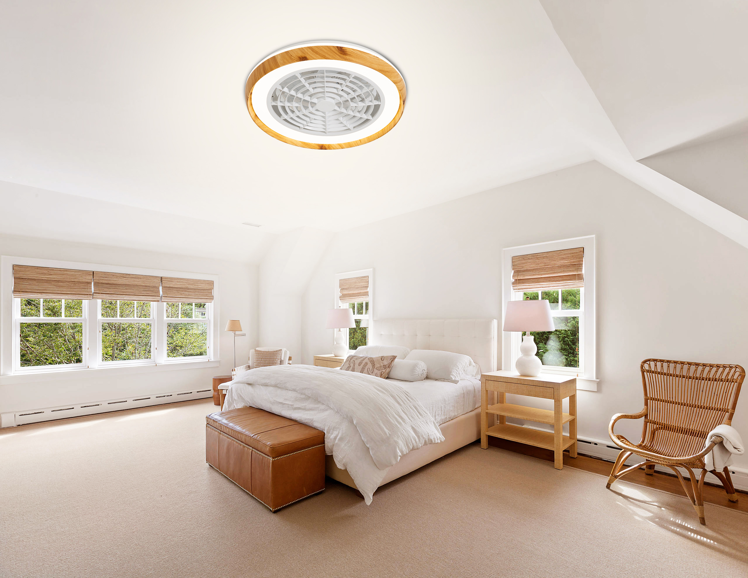 low profile caged ceiling fans with lights