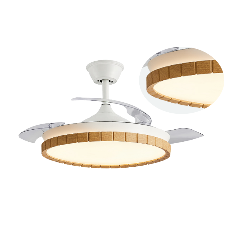 ceiling fan with light