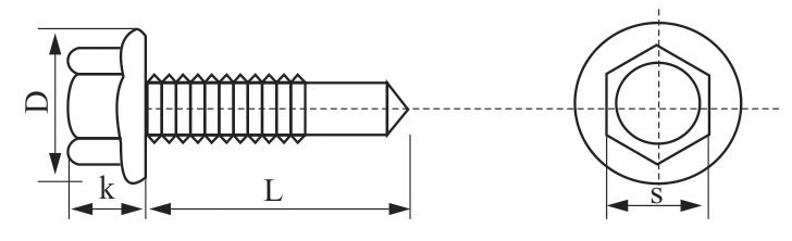 Hex Washer