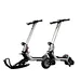 ESWING eretic snow scooter electric snowmobile for sale