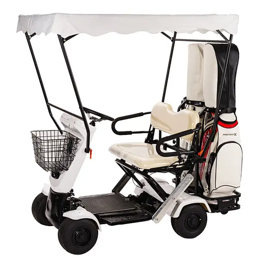 Two Seaters Folding Golf cart