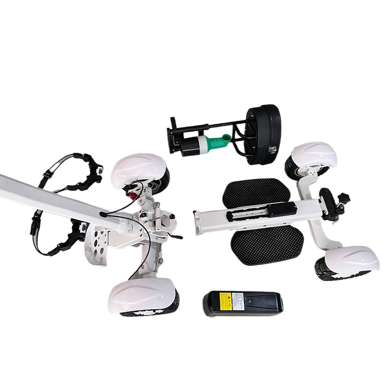 Eswing 4-wheel Electric Golf scooter