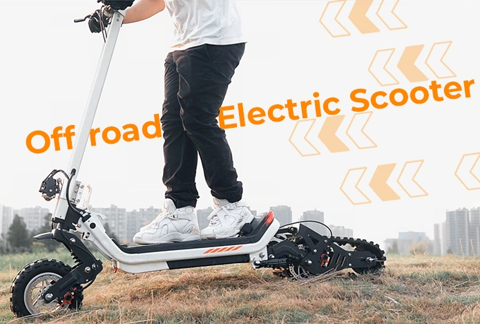 Eretic Snow Scooter Electric Snowmobile For Sale