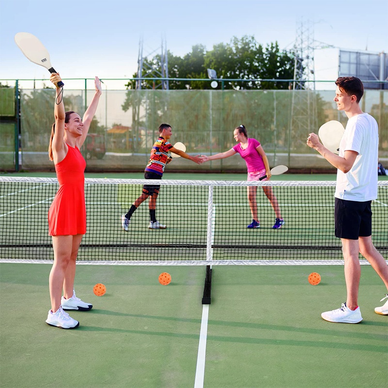 Eswing best portable pickleball net,portable tennis net for sale